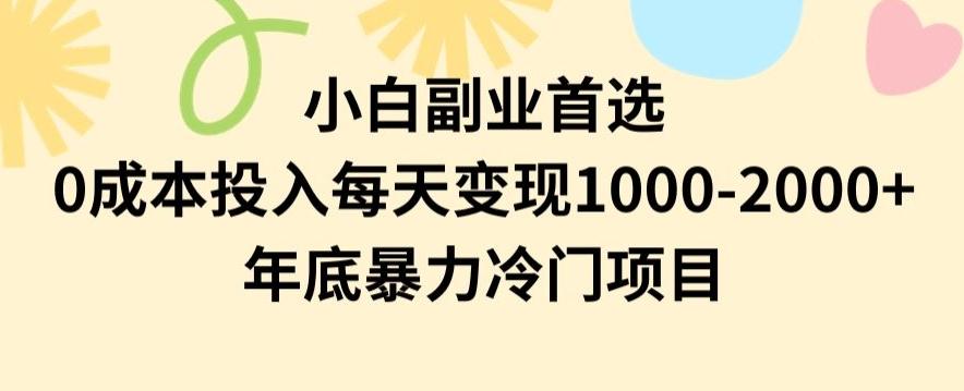 小白副业首选，0成本投入，每天变现1000-2000年底暴力冷门项目【揭秘】-卿云社