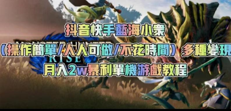 抖音快手蓝海小众（操作简单人人可做不花时间）多种变现月入2w＋暴利单机游戏教程-卿云社