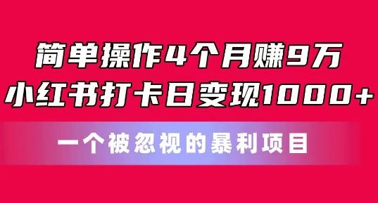 简单操作4个月赚9w，小红书打卡日变现1k，一个被忽视的暴力项目【揭秘】-卿云社