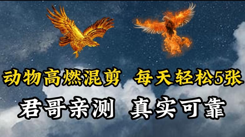 动物超燃混剪，每天轻松5张，剪辑简单大家爱看【揭秘】-卿云社