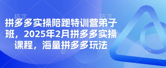 拼多多实操陪跑特训营弟子班，2025年2月拼多多实操课程，海量拼多多玩法-卿云社
