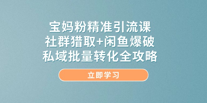 宝妈粉精准引流课，社群猎取+闲鱼爆破，私域批量转化全攻略-卿云社