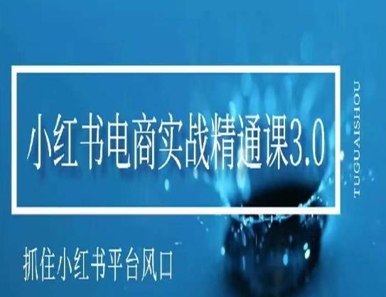 小红书电商实战精通课3.0，抓住小红书平台的风口，不错过有一个赚钱的机会-卿云社