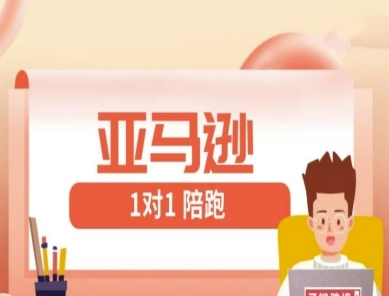 亚马逊1对1陪跑课(FBA/FBM精铺)跨境亚马逊教程-卿云社