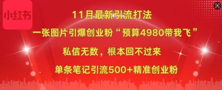 小红书11月最新图片打粉，一张图片引爆创业粉，“预算4980带我飞”，单条引流500+精准创业粉-卿云社