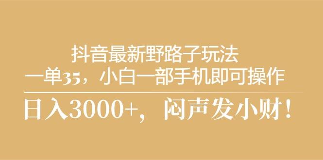 抖音最新野路子玩法，一单35，小白一部手机即可操作，，日入3000+，闷…-卿云社