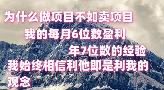 做项目不如卖项目，每月6位数盈利，年7位数经验-卿云社