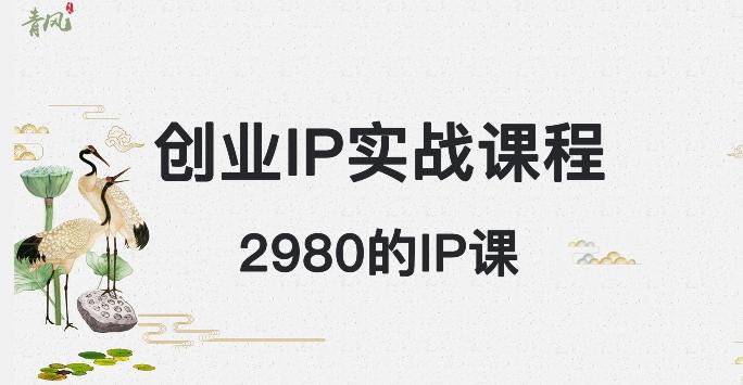 外边卖2980的创业IP课程，做私域月入5w+-卿云社