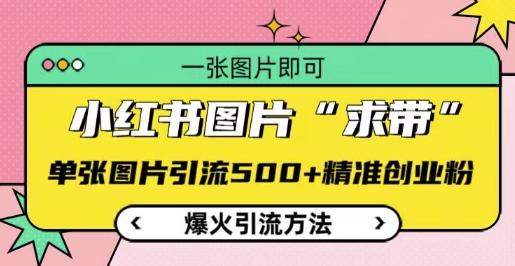 小红书图片‘求带’爆火引流法，单张图片引流500+精准创业粉【揭秘】-卿云社