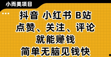 小而美的项目，抖音小红书B站视频点赞、关注、评论就能挣钱，简单无脑立见收益，妥妥的零撸项目【揭秘】-卿云社