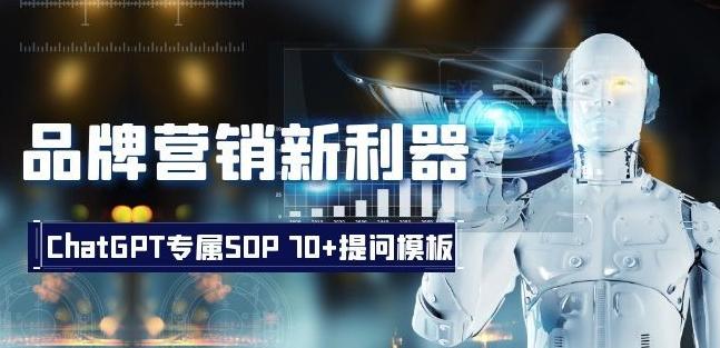 品牌营销新利器：ChatGPT专属SOP，70+提问模板【文档】-卿云社