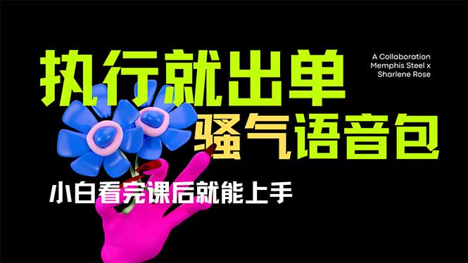 爆火全网的开车导航骚气语音包,只要执行就出单，小白看完课程就能实操…-卿云社