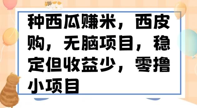 种西瓜赚米，西皮购稳定长久零撸小项目-卿云社