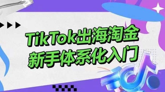 TikTok出海淘金，新手体系化入门，零基础快速入门，掌握短视频、直播带货等引流到变现的知识-卿云社