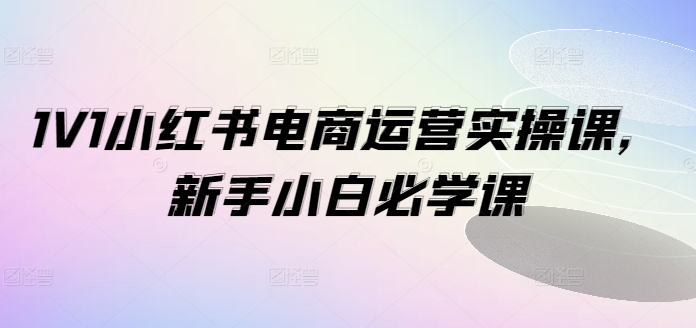 1V1小红书电商运营实操课，新手小白必学课-卿云社