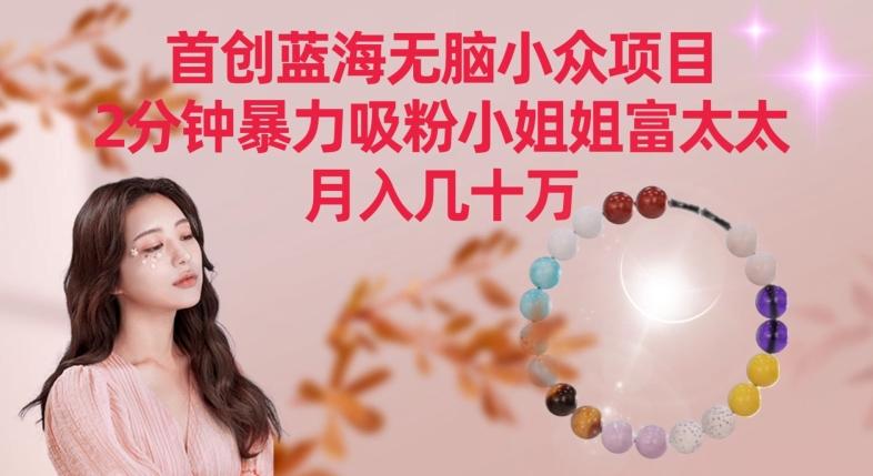 首创蓝海无脑小众项目，2分钟暴力吸粉小姐姐富太太，月入几十万【揭秘】-卿云社