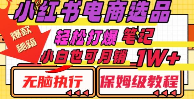 小红书电商爆款选品秘籍，帮你轻松打爆笔记，小白也可轻松月销10000+-卿云社