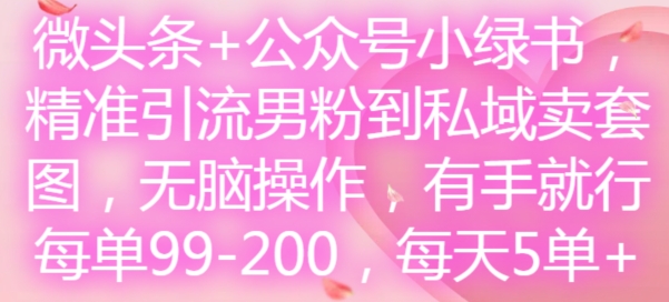 微头条+公众号小绿书，精准引流男粉到私域卖套图，无脑操作，有手就行，每单99-200，每天5单-卿云社