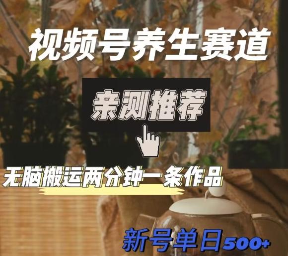 视频号养生赛道暴力掘金，无脑搬运，两分钟一条作品-新日单入500+-卿云社