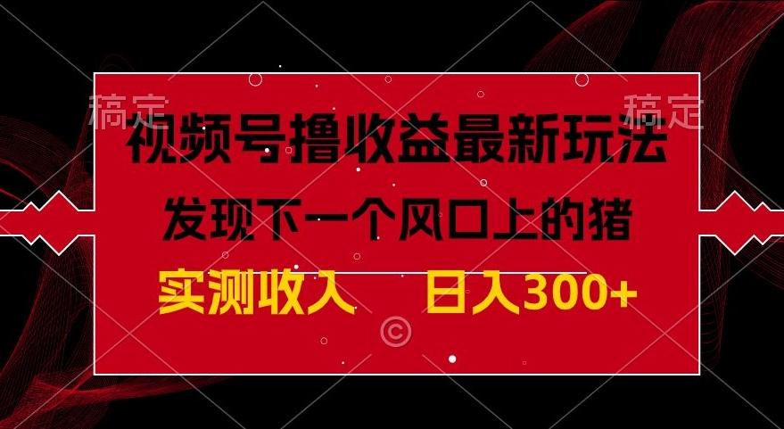 视频号分成计划最新玩法，单条作品几分钟制作完成,日入300+，过年前最后的冲刺-卿云社