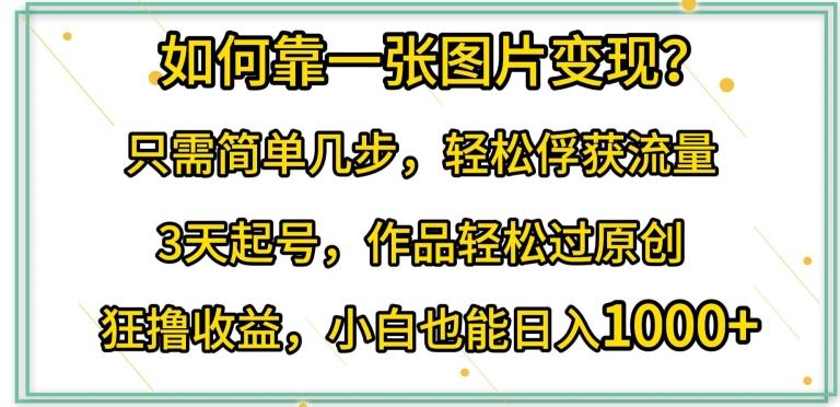 如何靠一张图片变现?只需简单几步，轻松俘获流量，3天起号，作品轻松过原创【揭秘】-卿云社