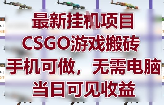 最新挂G项目，CSGO游戏搬砖，手机可做，无需电脑，当日见收益【揭秘】-卿云社