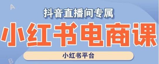 小红书电商高级运营课程，实操教学+案例分析-卿云社