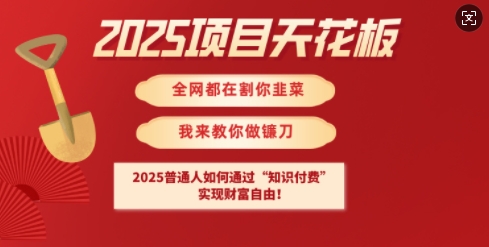 2025项目天花板普通人如何通过知识付费，实现财F自由【揭秘】-卿云社