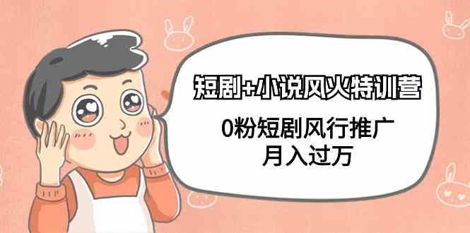 小说+短剧风火特训营，0粉短剧小说风行推广，实现月入过万-卿云社