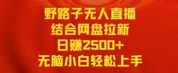 野路子无人直播结合网盘拉新，日赚2500+，小白无脑轻松上手【揭秘】-卿云社
